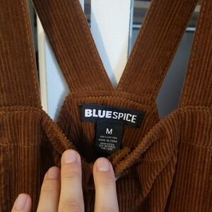 BlueSpice Corduroy Dress